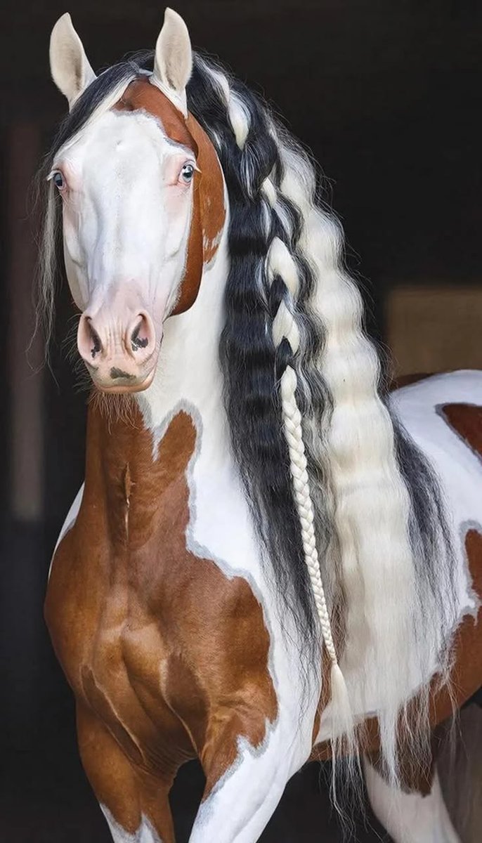 Beautiful Pics tweet media