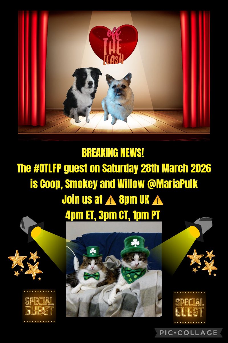 OffTheLeashFP 💔RIP Beautiful Millie&Sweet Pixie🌈 tweet media