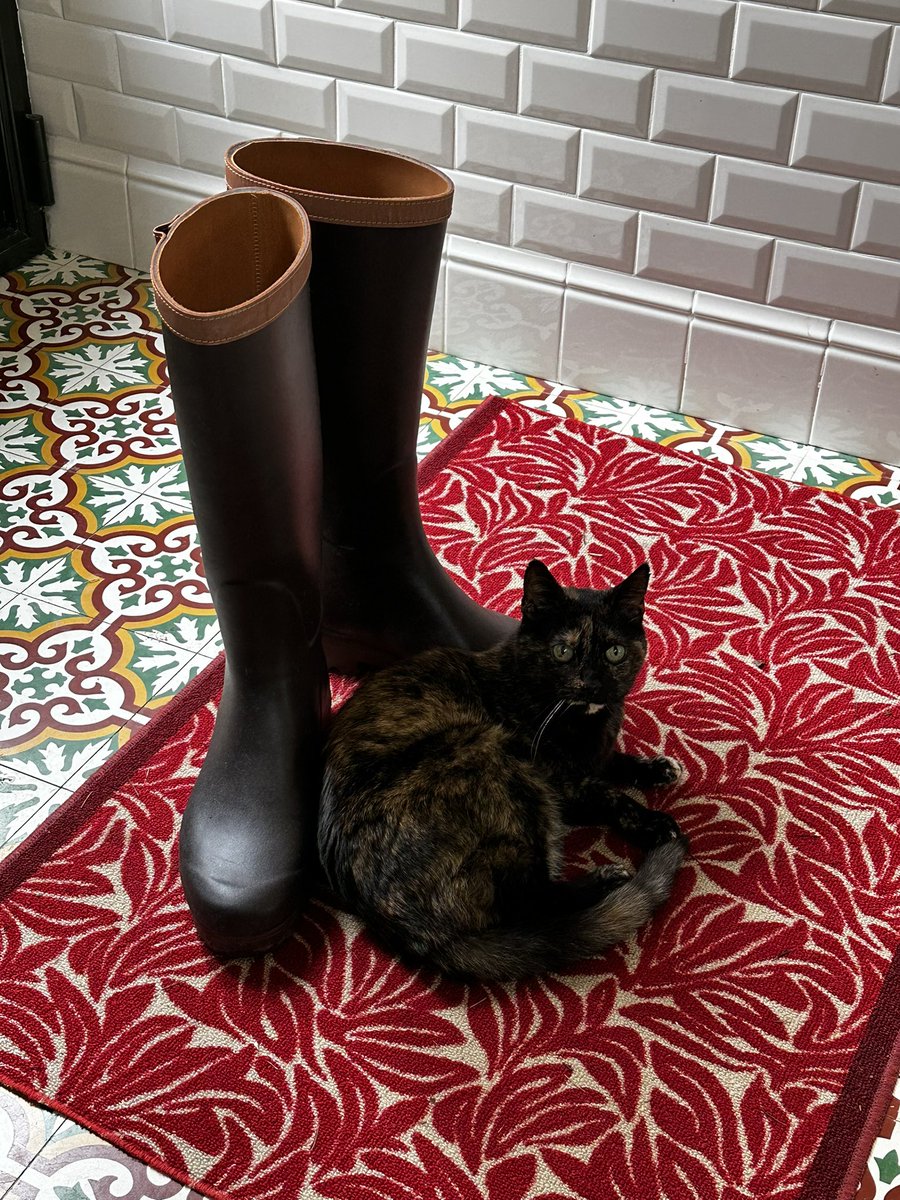 Chablis et Chartreuse🎀 tweet media