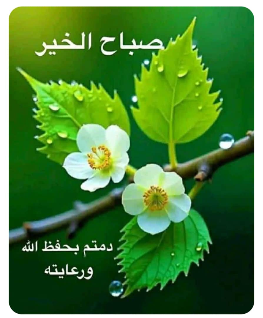 Ahmad Sy tweet media