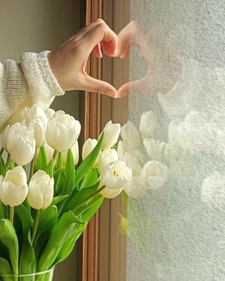 ماري بطرس tweet media