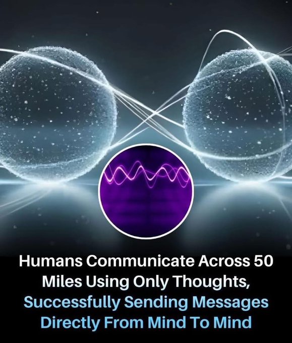 Eugenie LOBE tweet media