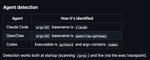 𝕃𝕖𝕠 𝔻𝕚 𝔻𝕠𝕟𝕒𝕥𝕠 🐯 tweet media