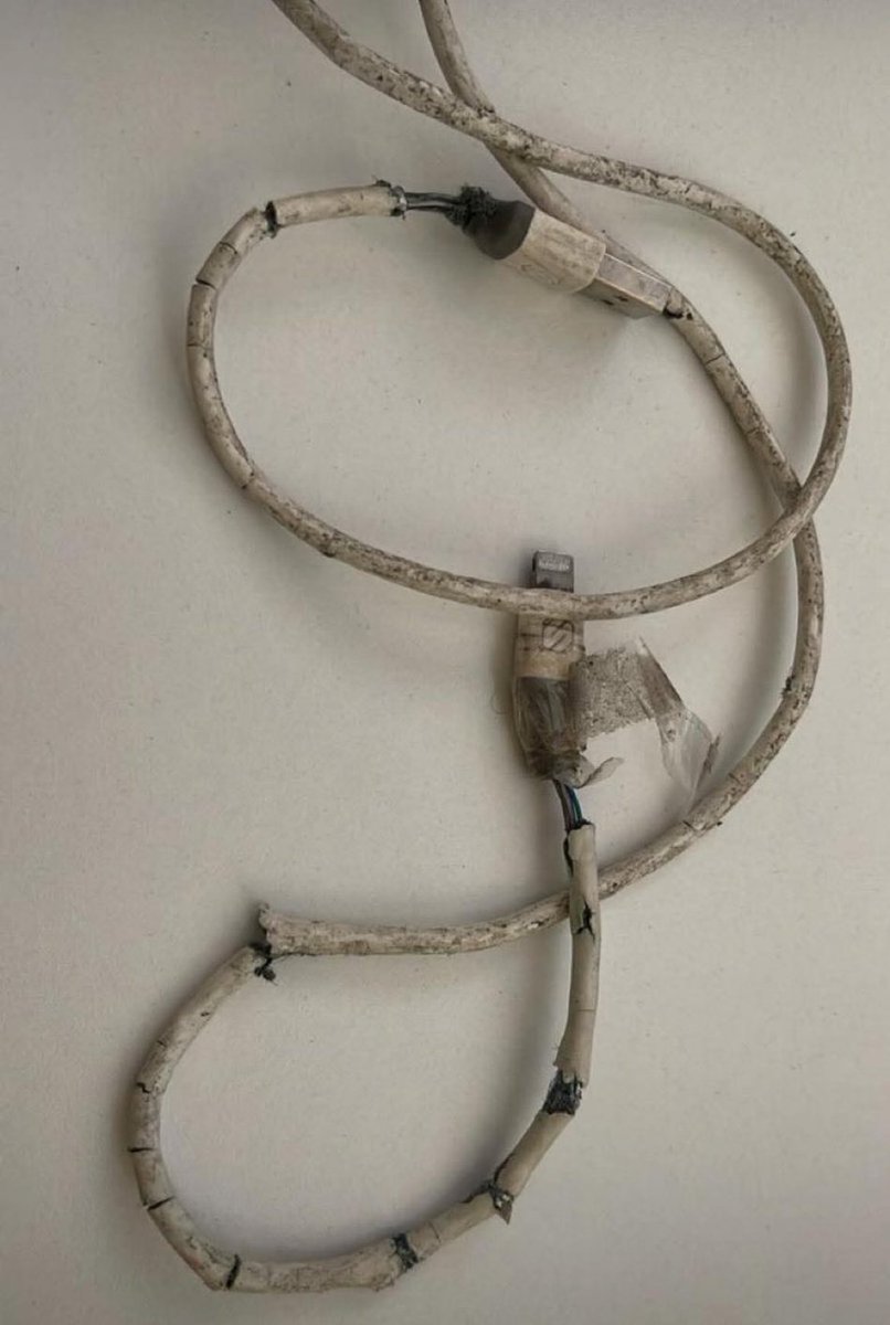 BIG JUNIOR tweet media