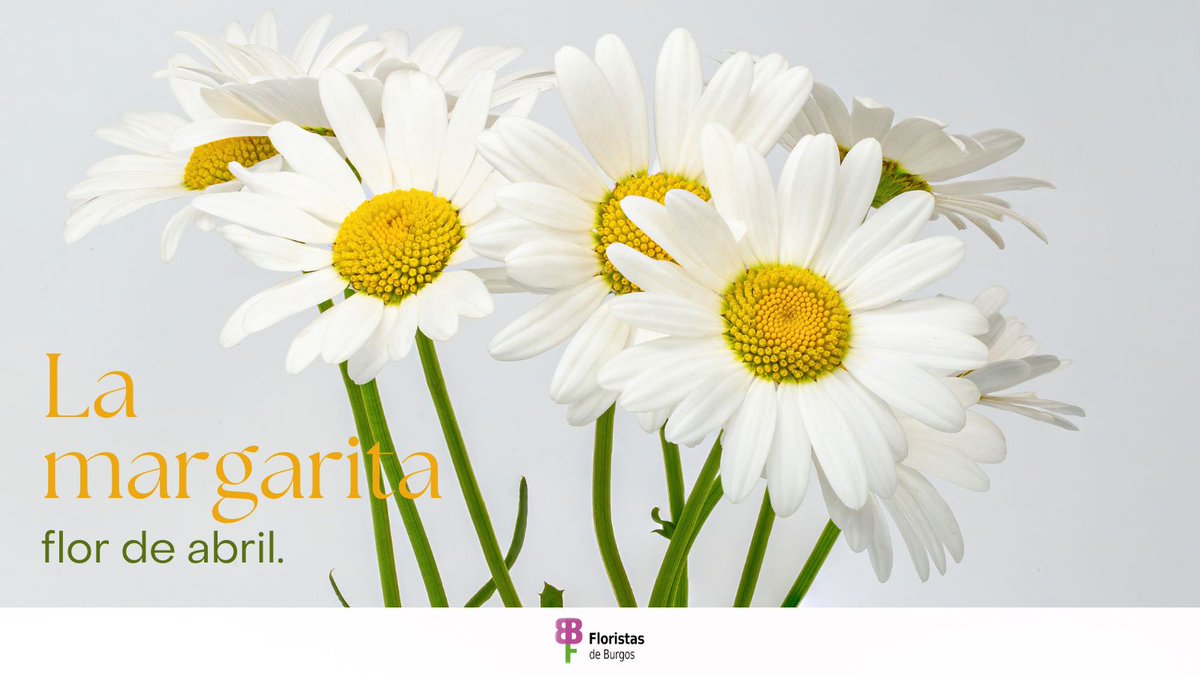 Fiesta de las Flores tweet media