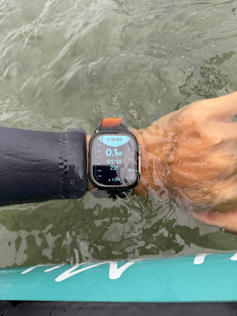 ネコのわくわく自然教室(沖縄の自然学校) tweet media