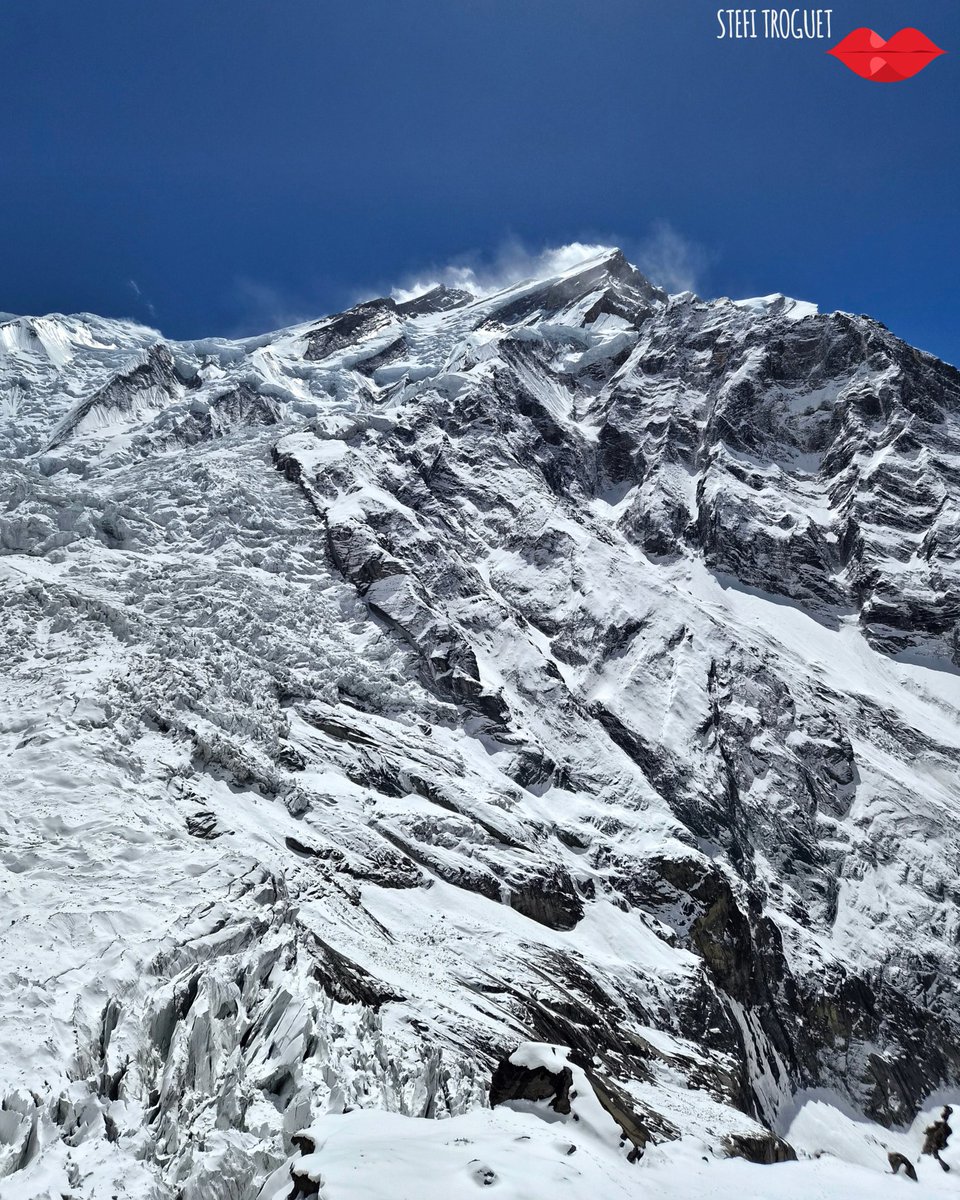 Stefi Troguet tweet media