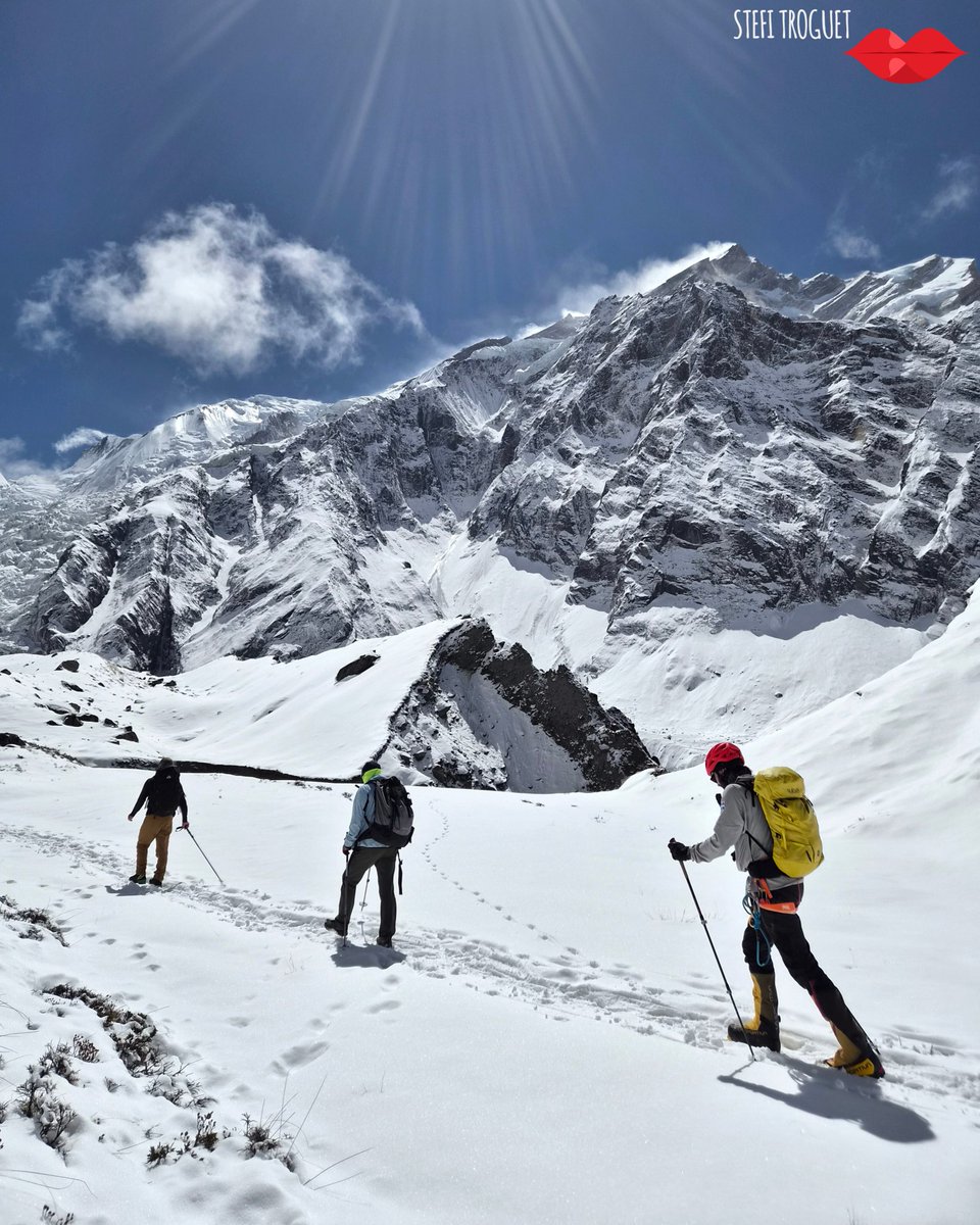 Stefi Troguet tweet media