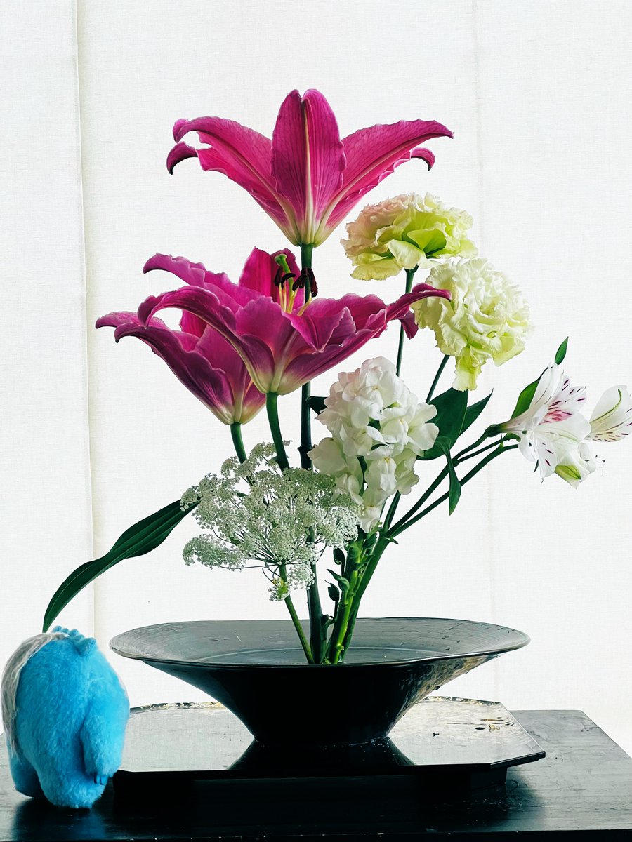 ふなっしー💙 tweet media