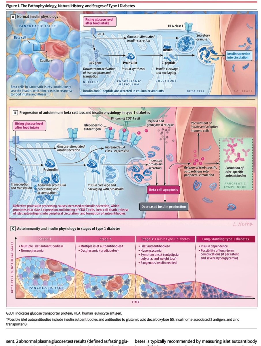 Jose Ramos Vivas tweet media