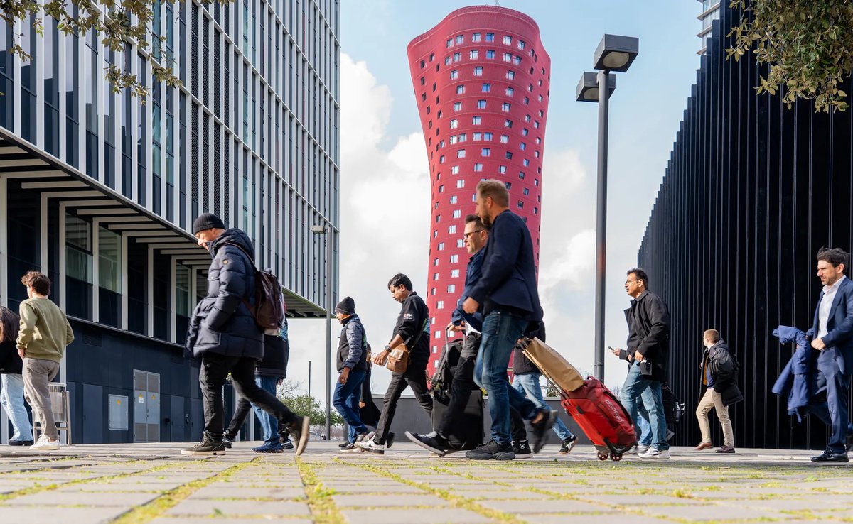 White Rabbit tweet media