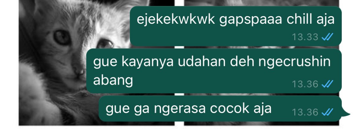 dici 📸 tweet media