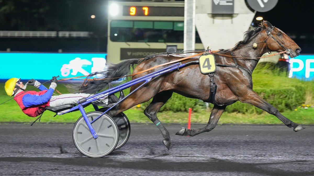 Enzo Maillet tweet media