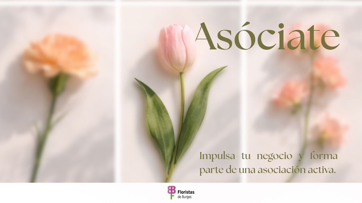 Fiesta de las Flores tweet media