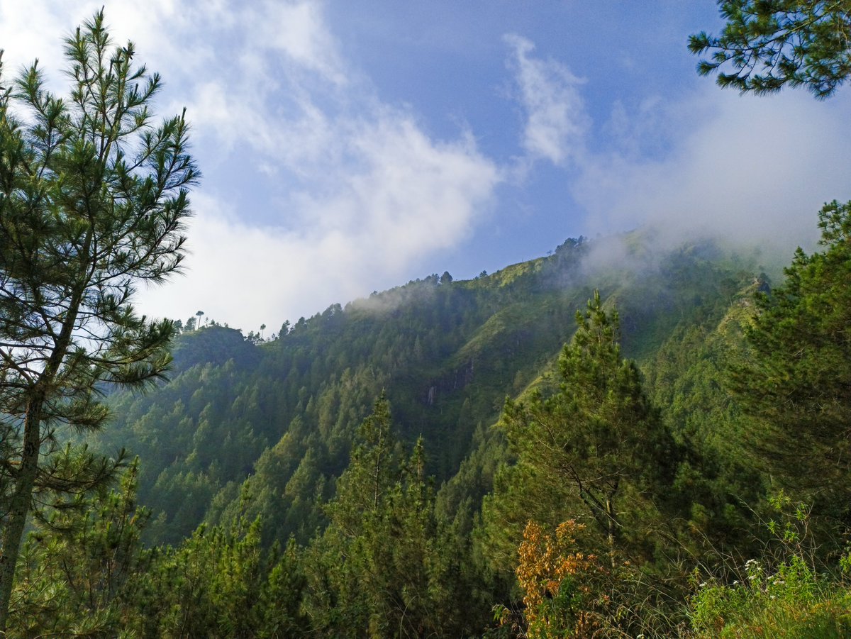 karasumori tweet media