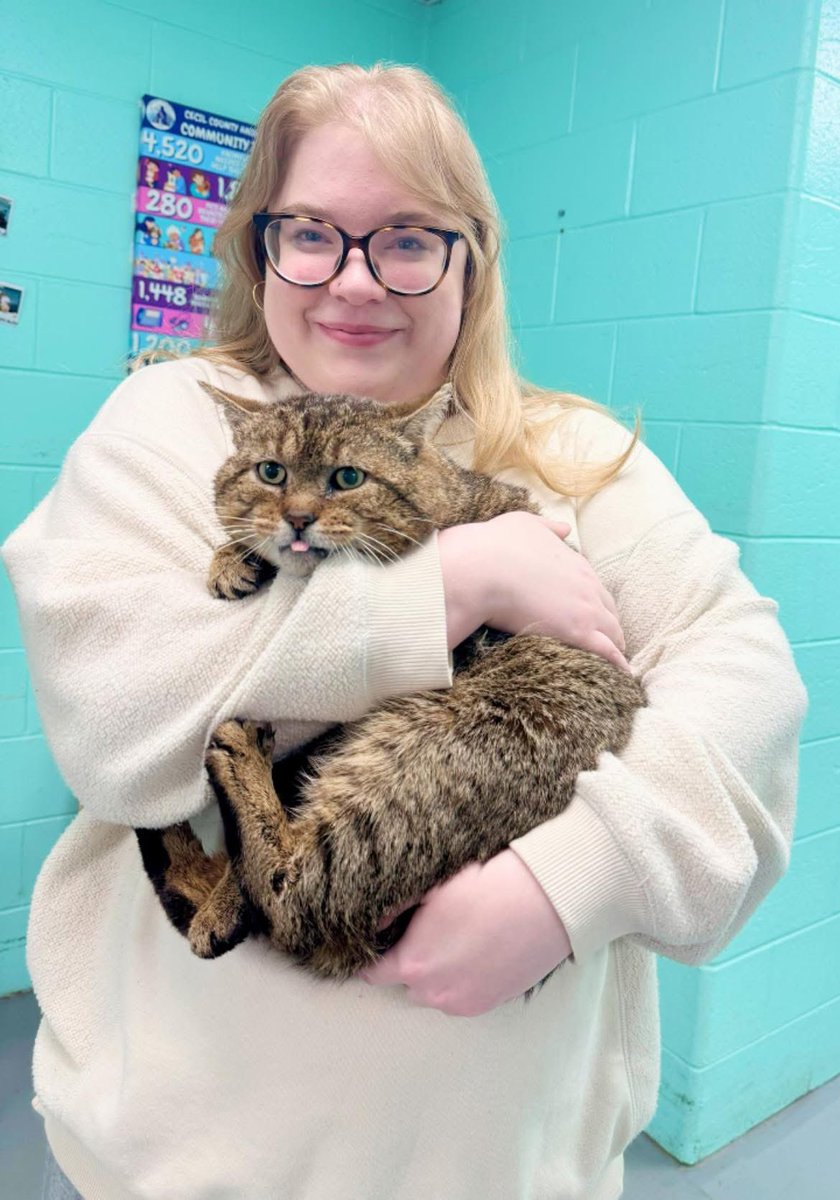 For the love of Missy. tweet media