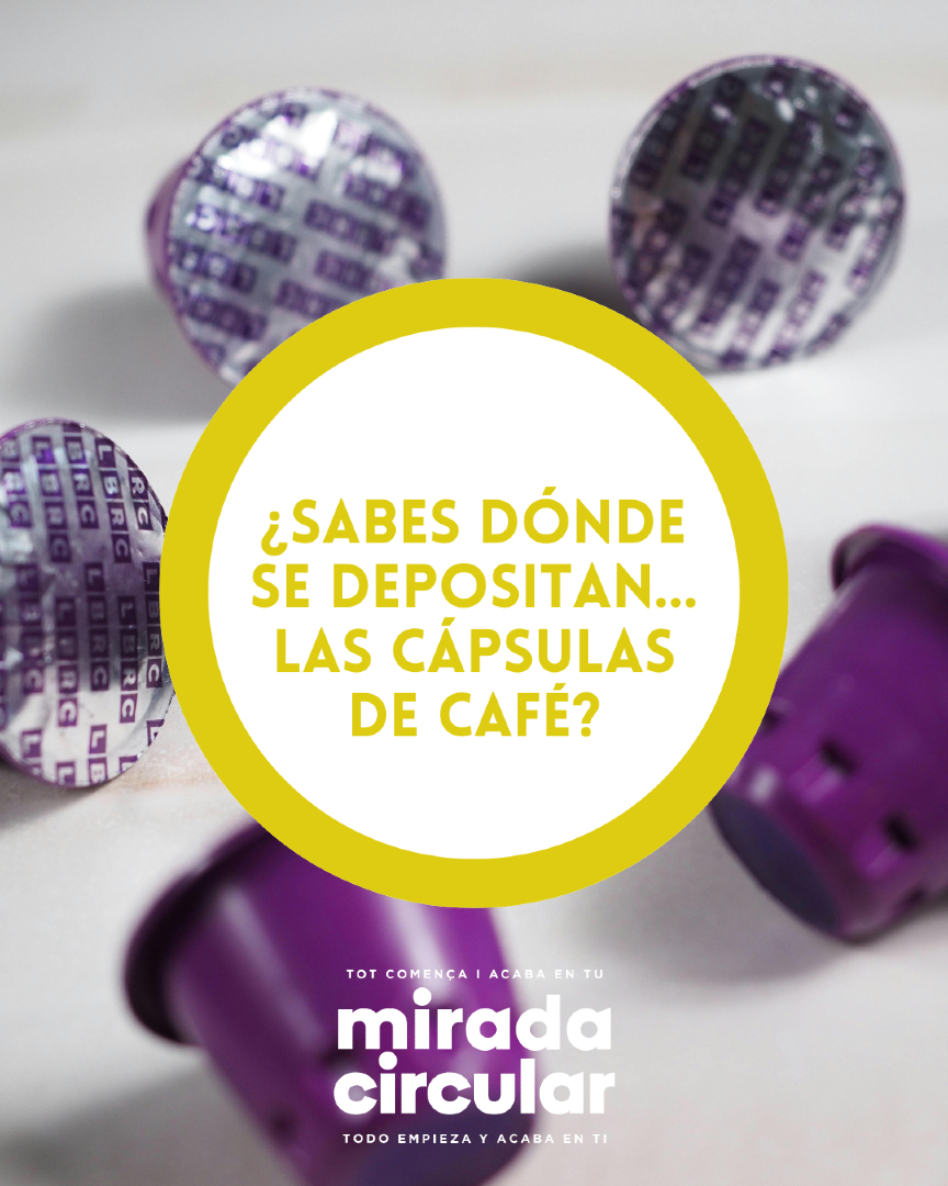 Mirada Circular CV tweet media