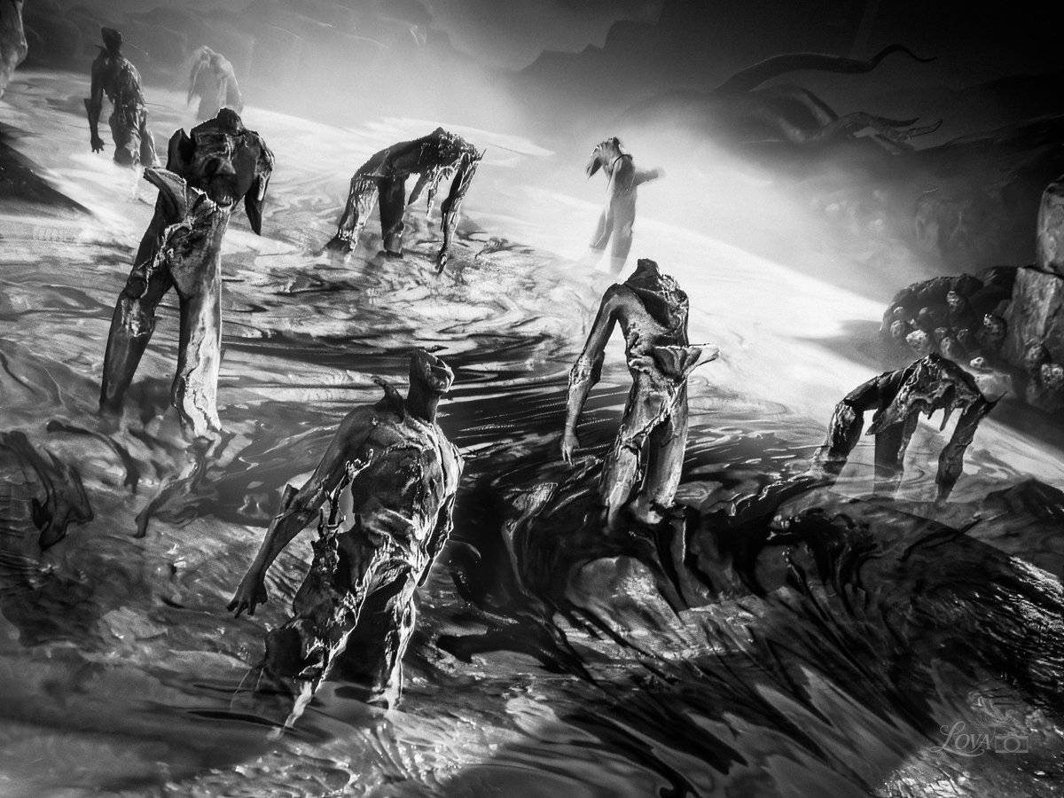 Lova ♡ tweet media