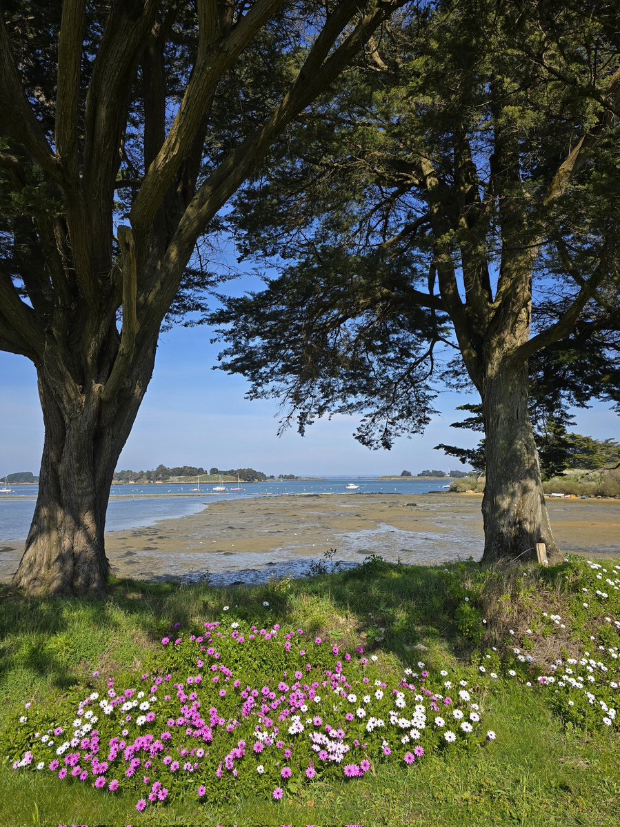 Tour du Golfe tweet media