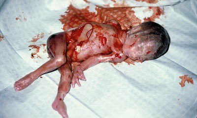 Jayda Fransen tweet media