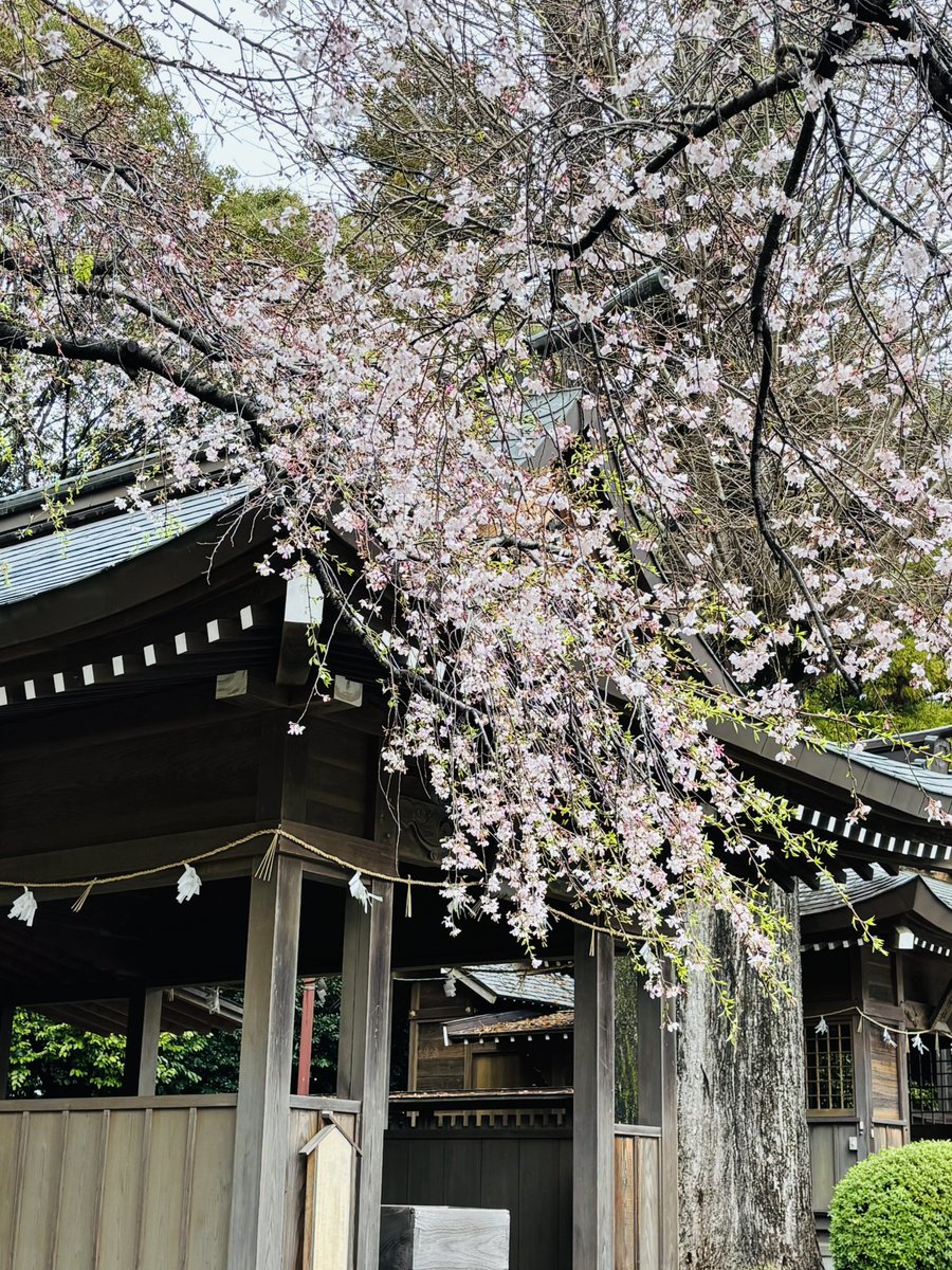 ⋆͛❥う̤̮ぉོる⃓ふら⃕む֒⑅⋆͛ tweet media