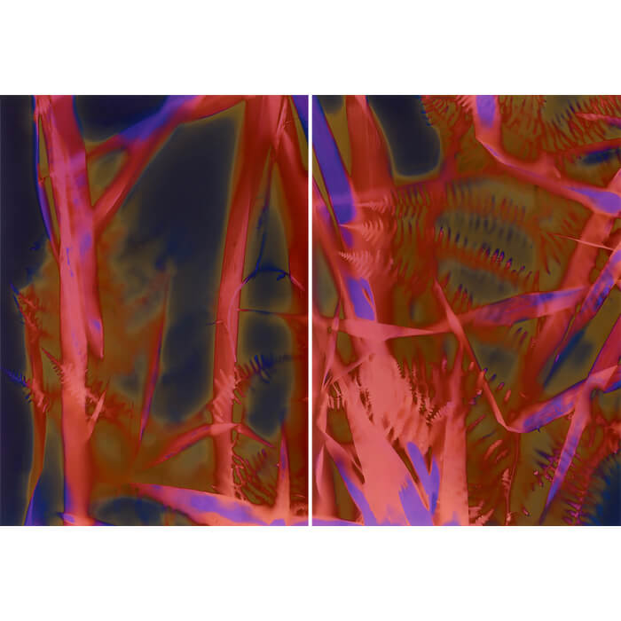 alternativephot's tweet image. 6 days left! Lumen prints add colour using plants and light, creating unexpected tones from pinks to warm browns:

➥Debbie Bentley
➥Fruma Markowitz
➥Helene Barrette
➥Johannes Schmidt

👉 alternativephotography.com/calendar-event…

#lumenprints #altprocess #alterantiveprocesses