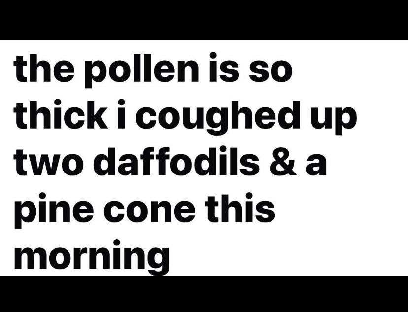 LaylaTexas77🌹 tweet media