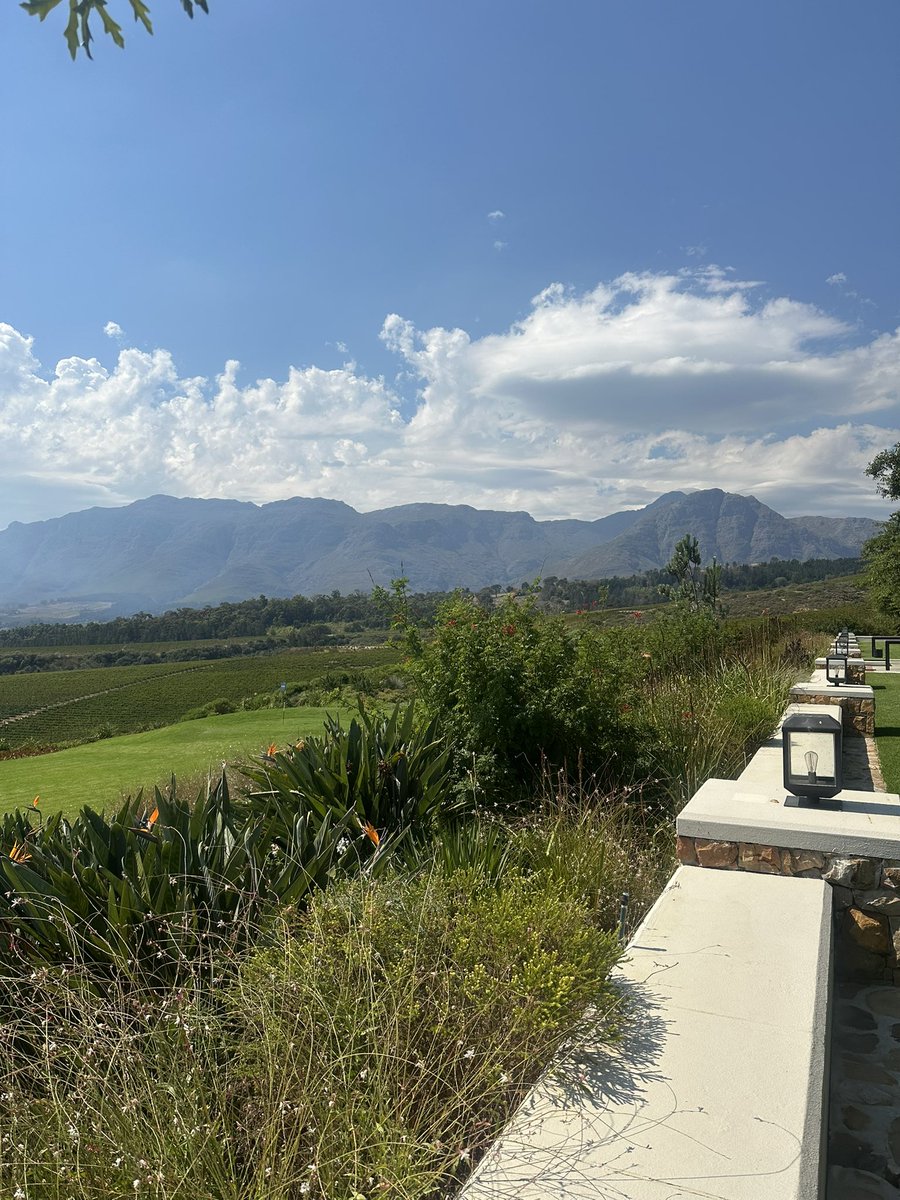 Lynda Mason tweet media