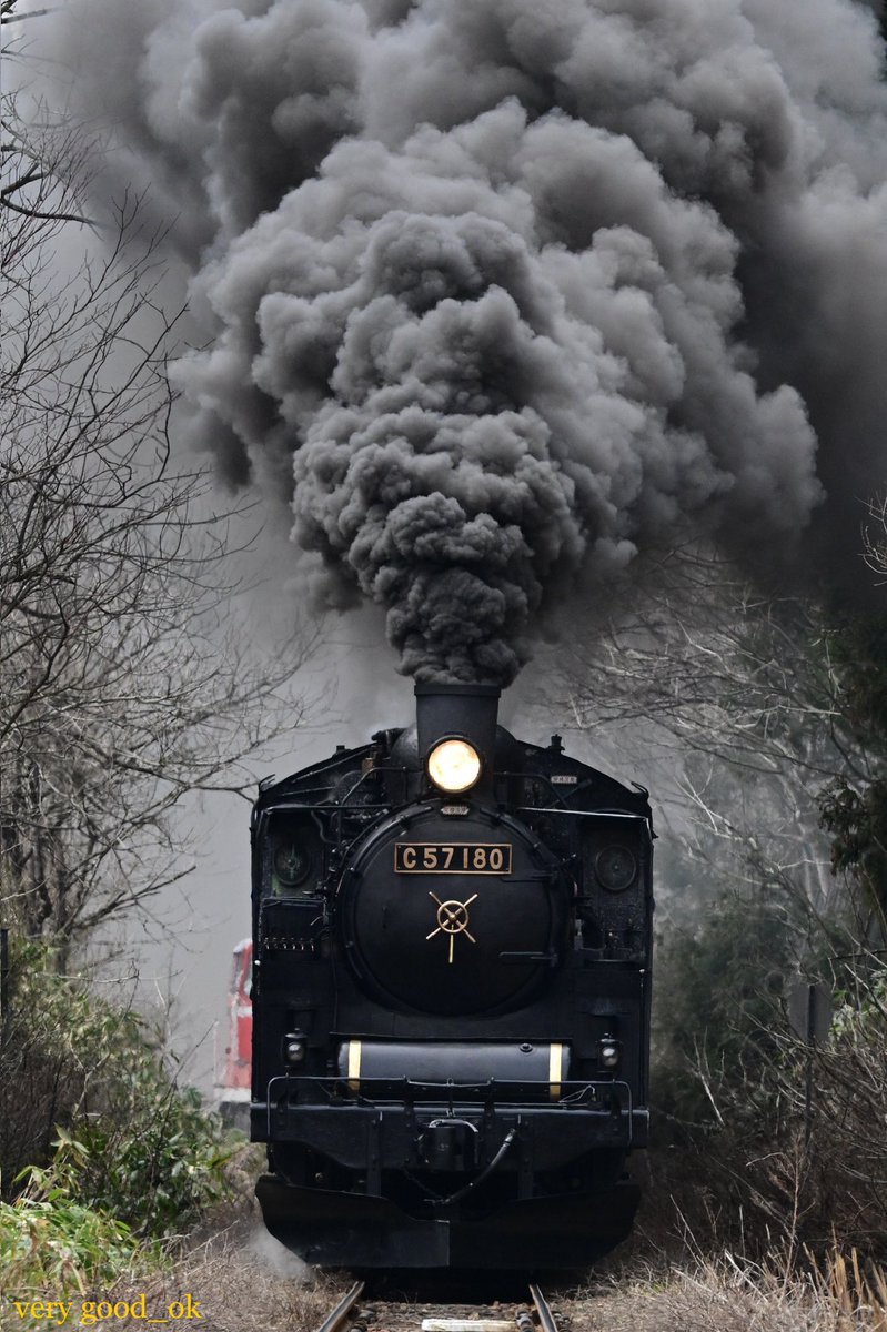 🇺🇦グッチさん👆📷 tweet media