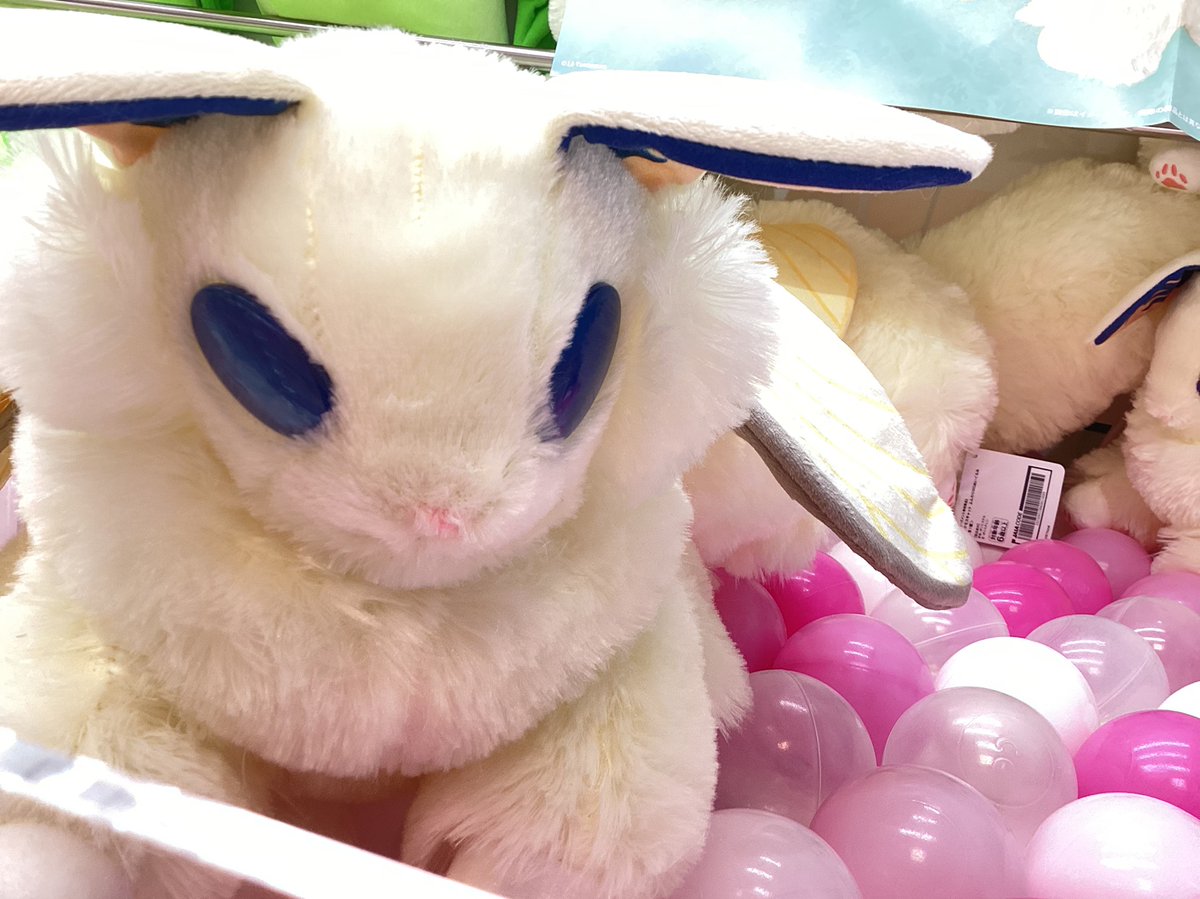 新景品入荷情報！】 「シルクモスキャットふんわりBIGぬいぐるみ