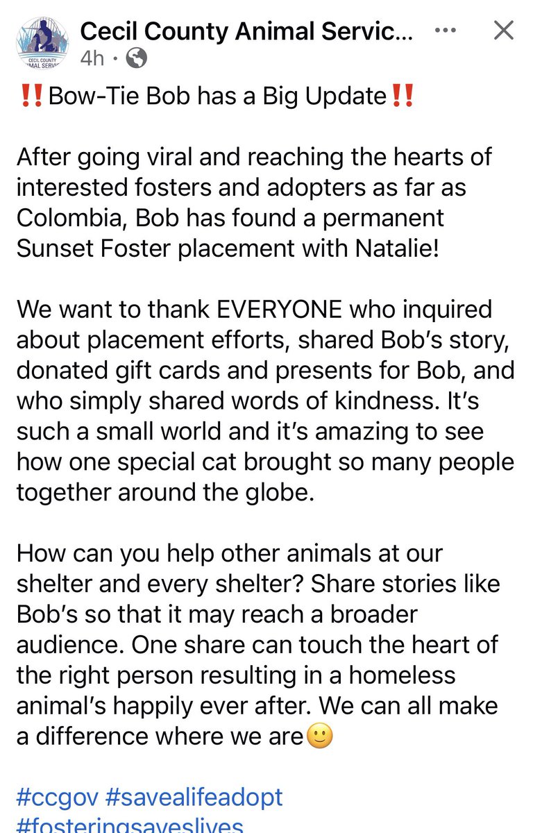 For the love of Missy. tweet media