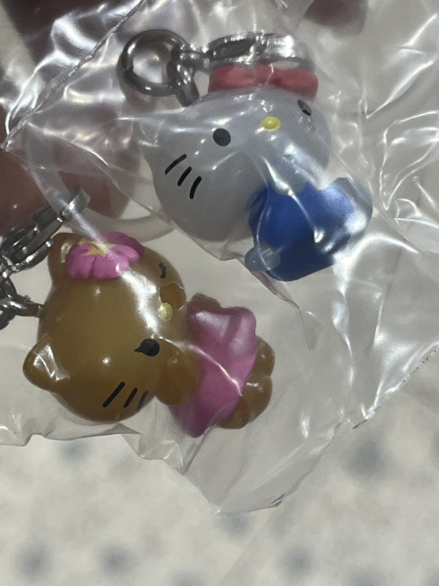 ぽぽぽぽぽ tweet media