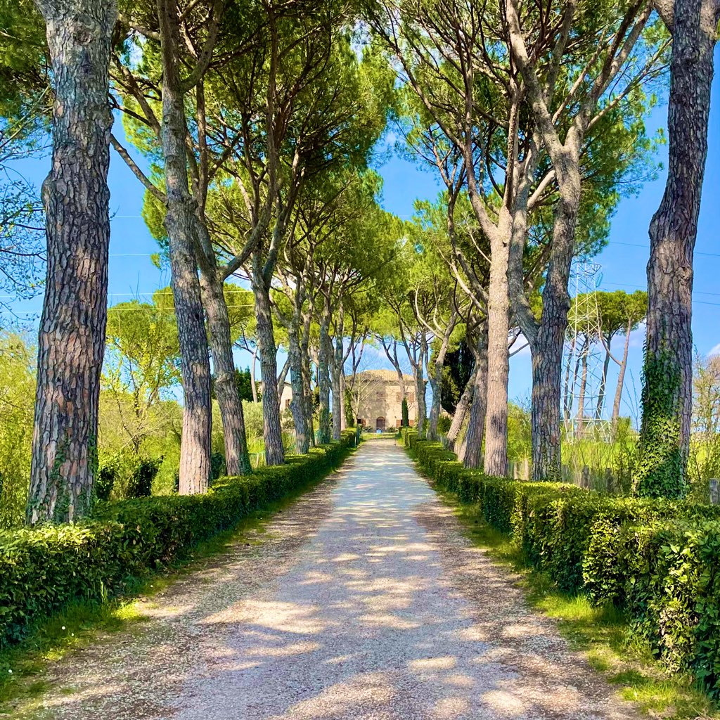 Psykoin | Veterans tweet media