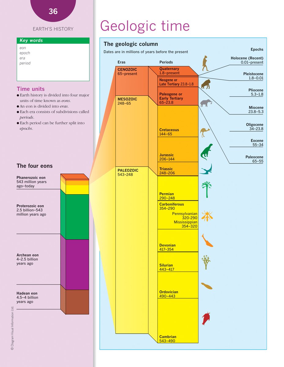 Visual Data tweet media