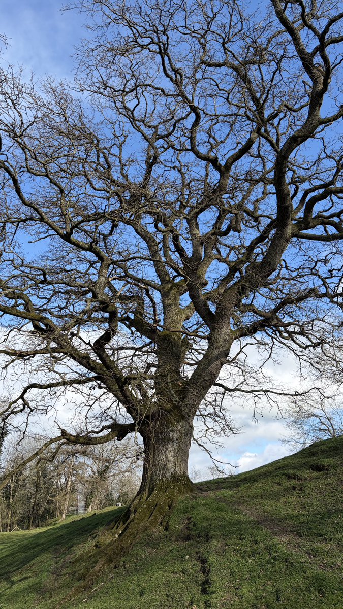 𝐊𝐨𝐡 𝐒𝐚𝐦𝐮𝐢 𝐚𝐧𝐝 𝐁𝐞𝐲𝐨𝐧𝐝 tweet media