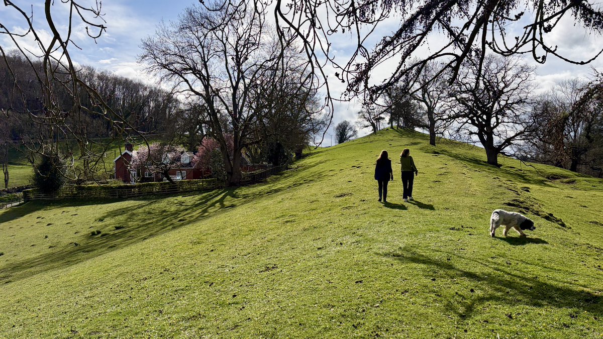 𝐊𝐨𝐡 𝐒𝐚𝐦𝐮𝐢 𝐚𝐧𝐝 𝐁𝐞𝐲𝐨𝐧𝐝 tweet media