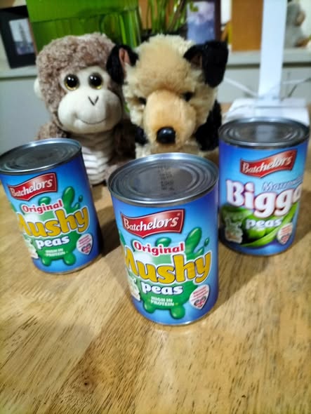 ChrisCsd1's tweet image. #Peas #Foodies Glad we can get mushy &amp;amp; marrowfat peas here &amp;amp; so are Oreo (left) &amp;amp; Caramel. A yummy meal prepared by my wife. Mushy peas, grilled tomatoes, tofu &amp;amp; vegan ham slices. A tasty dessert, of two varieties of mango &amp;amp; riceberry.