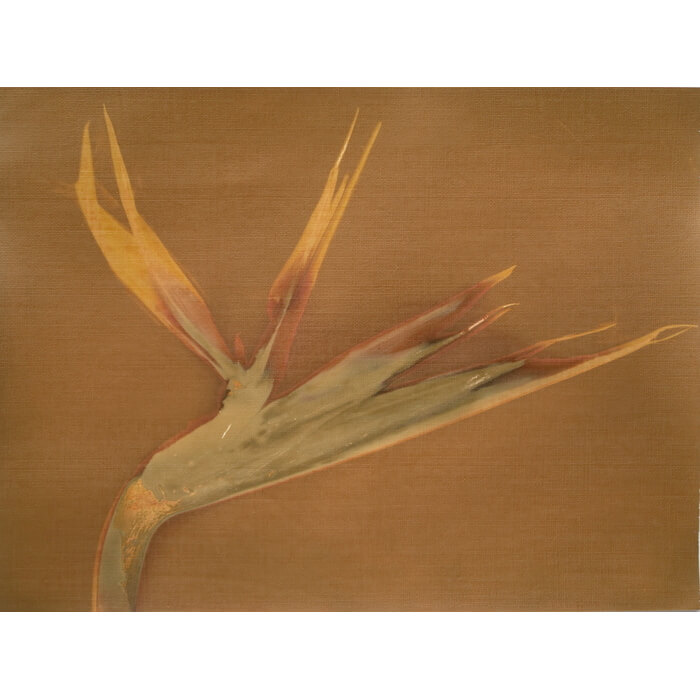 alternativephot's tweet image. 6 days left! Lumen prints add colour using plants and light, creating unexpected tones from pinks to warm browns:

➥Debbie Bentley
➥Fruma Markowitz
➥Helene Barrette
➥Johannes Schmidt

👉 alternativephotography.com/calendar-event…

#lumenprints #altprocess #alterantiveprocesses