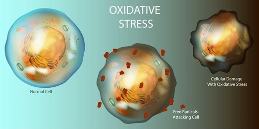 Summaiyat | PharmWise⚕️📚 tweet media