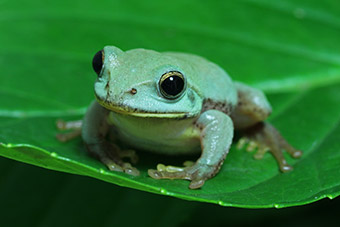 愉快☆天界てんてんちゃん【TedMan】{宇宙No.1のでんでん太鼓奏者} tweet media