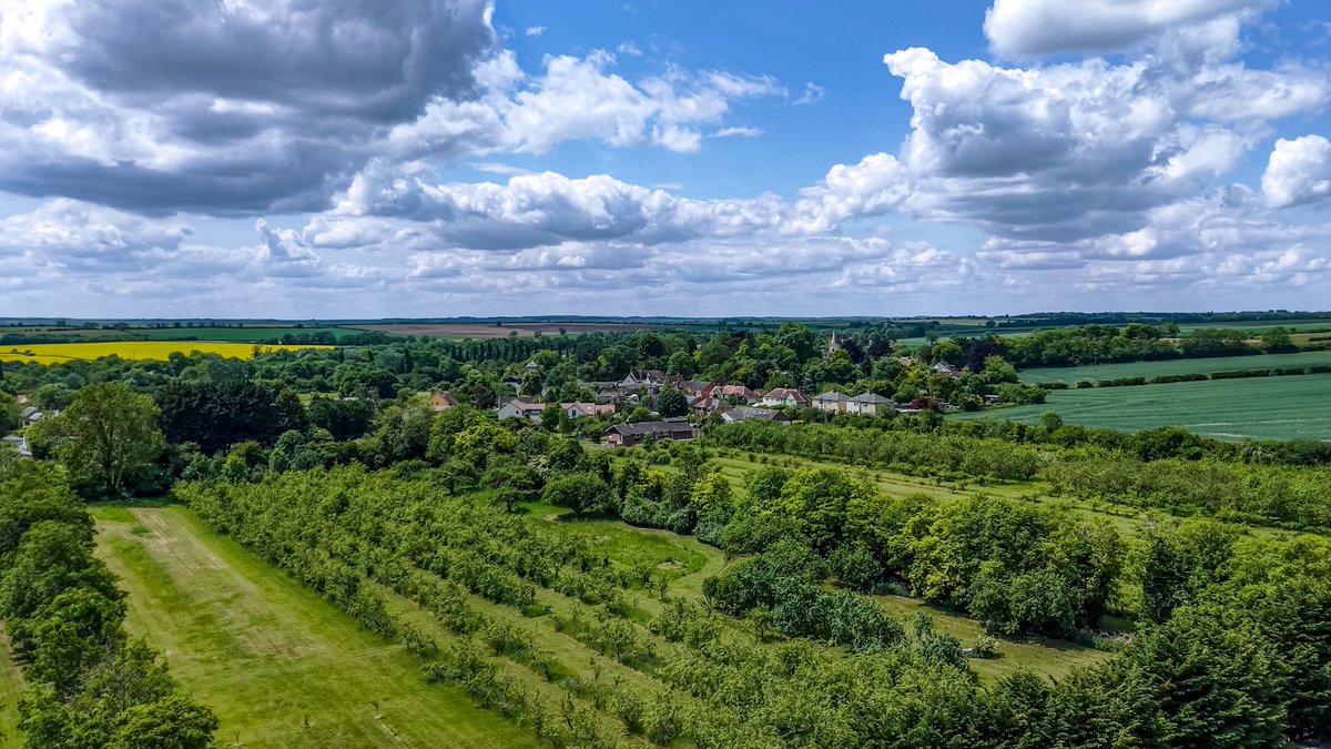 Bonkers Busway Cambs News tweet media