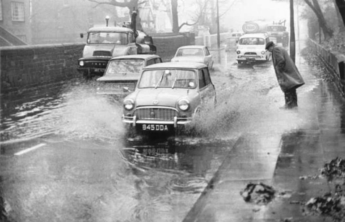 George Cochrane tweet media