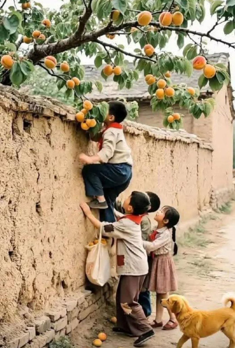 Kalbur Saman tweet media