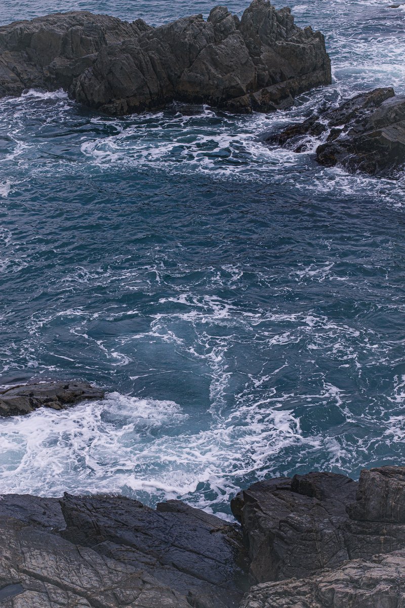 👁‍🗨ANU tweet media