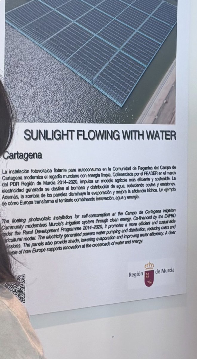 RegiónMurciaBruselas 🇪🇺 tweet media