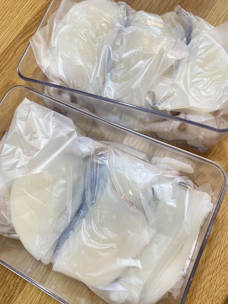 yojo_pilot tweet media