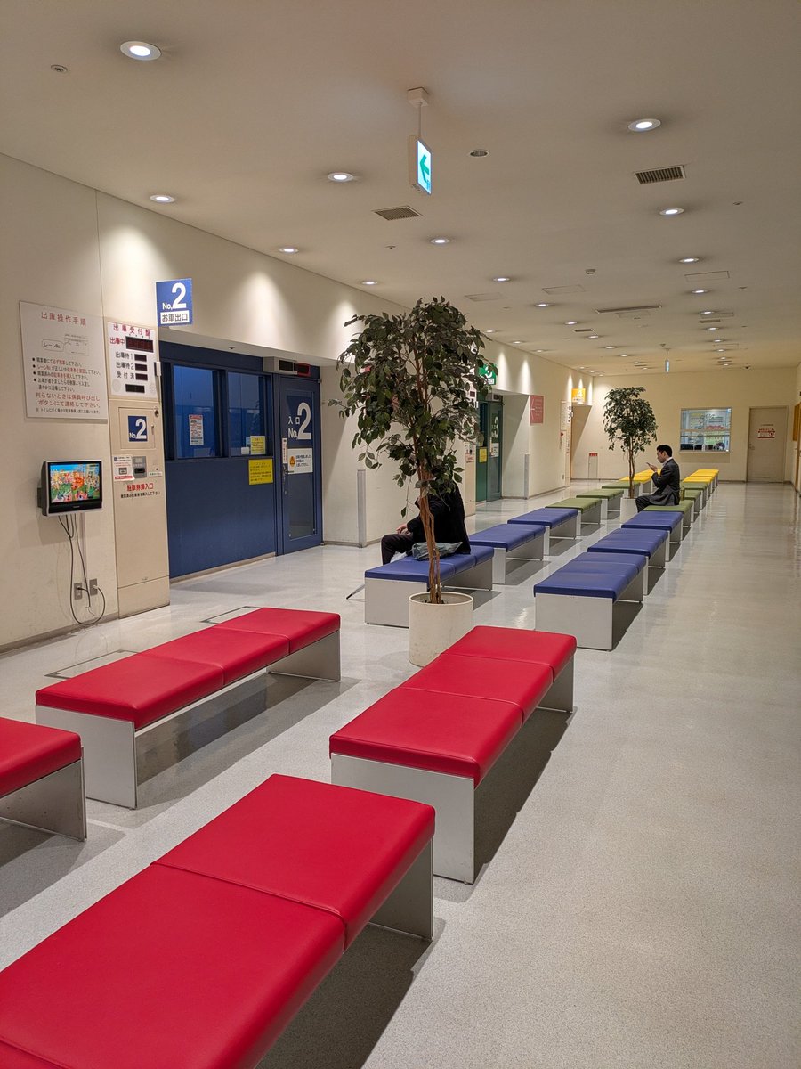 おすぎ tweet media