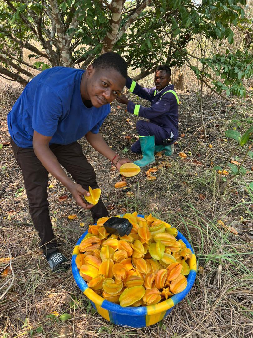 Serge Kadafi tweet media