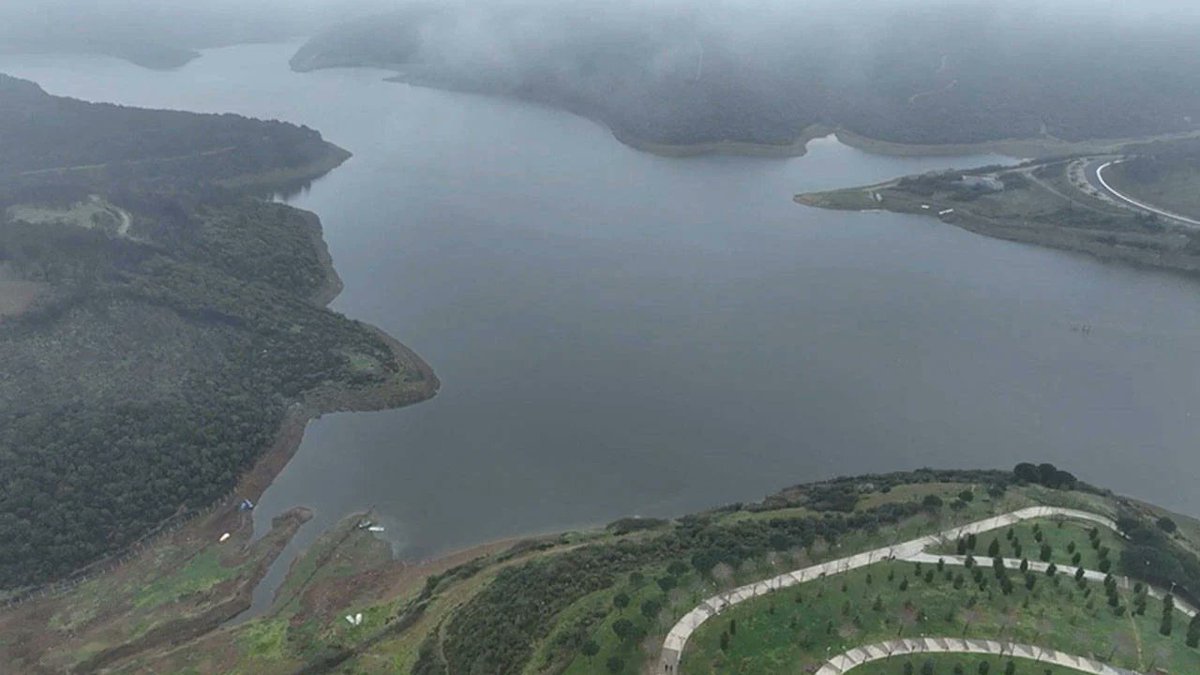 Meriç Albay tweet media