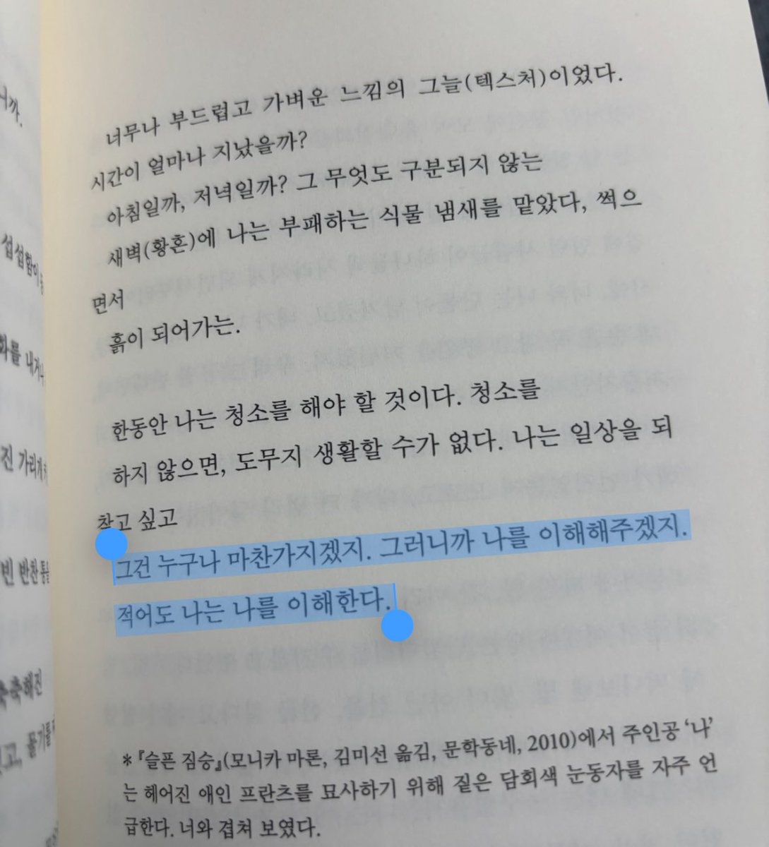 오독보행 tweet media